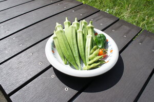 収穫の夏