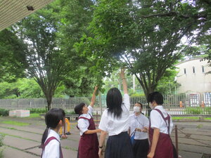 IMG_1904.JPG