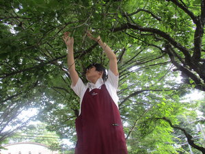 IMG_1910.JPG