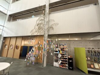 IMG_7265.jpeg