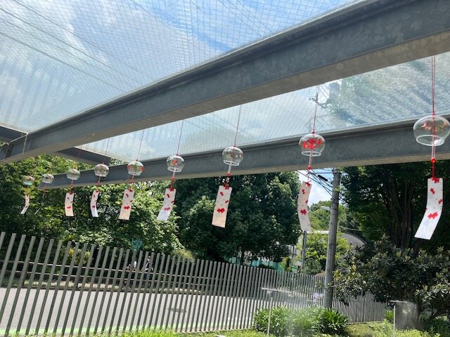 風鈴の音色は条件反射⁉