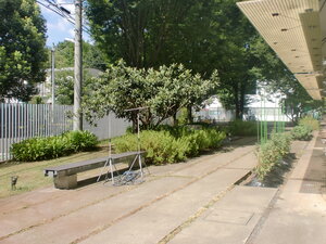 CIMG4932.JPG