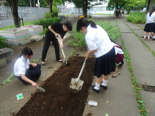 DSC00897.JPG