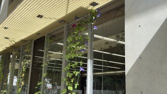 IMG_7931.jpeg