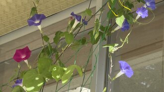 IMG_7932.jpeg