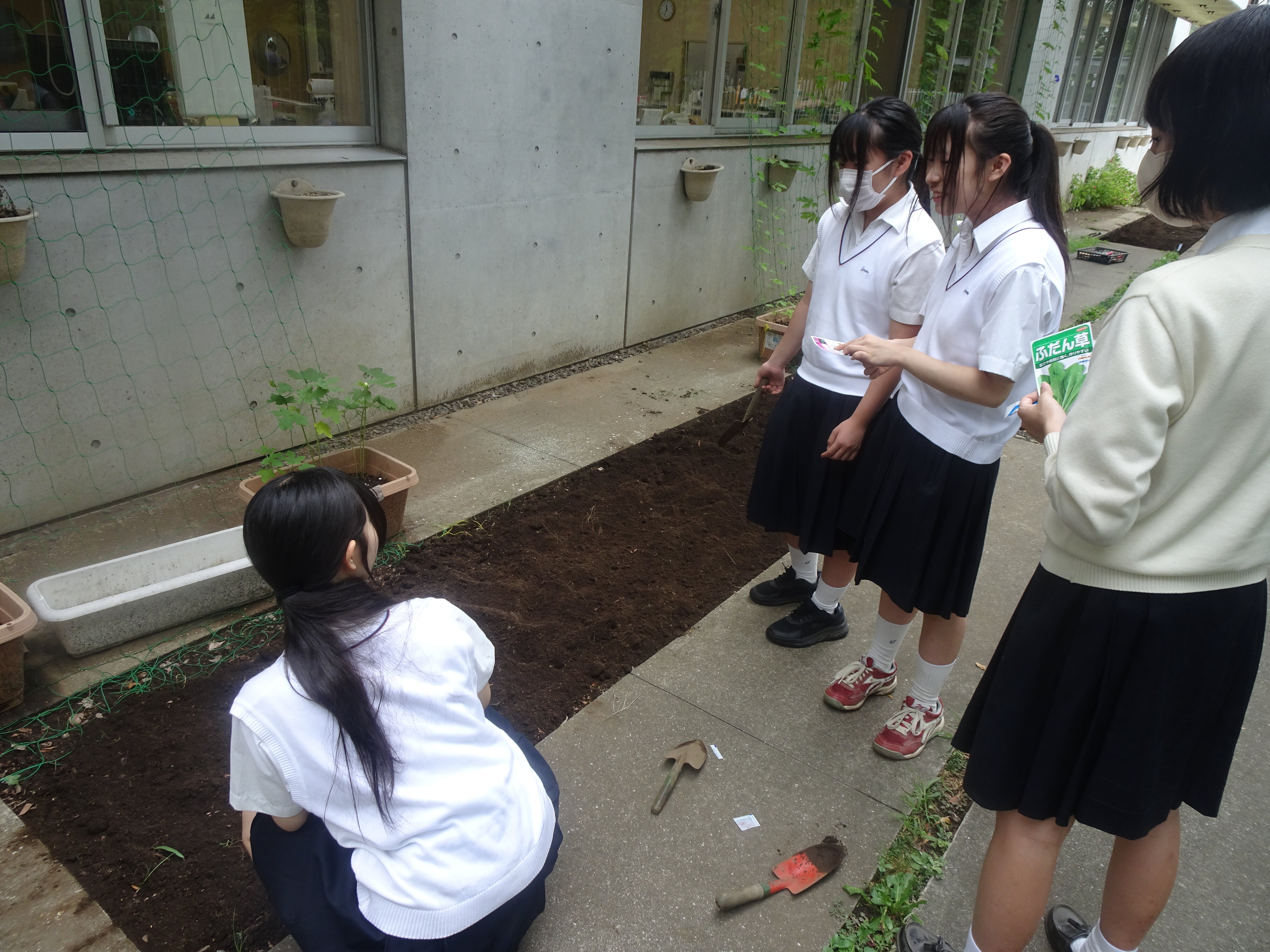 緑豊かな清修