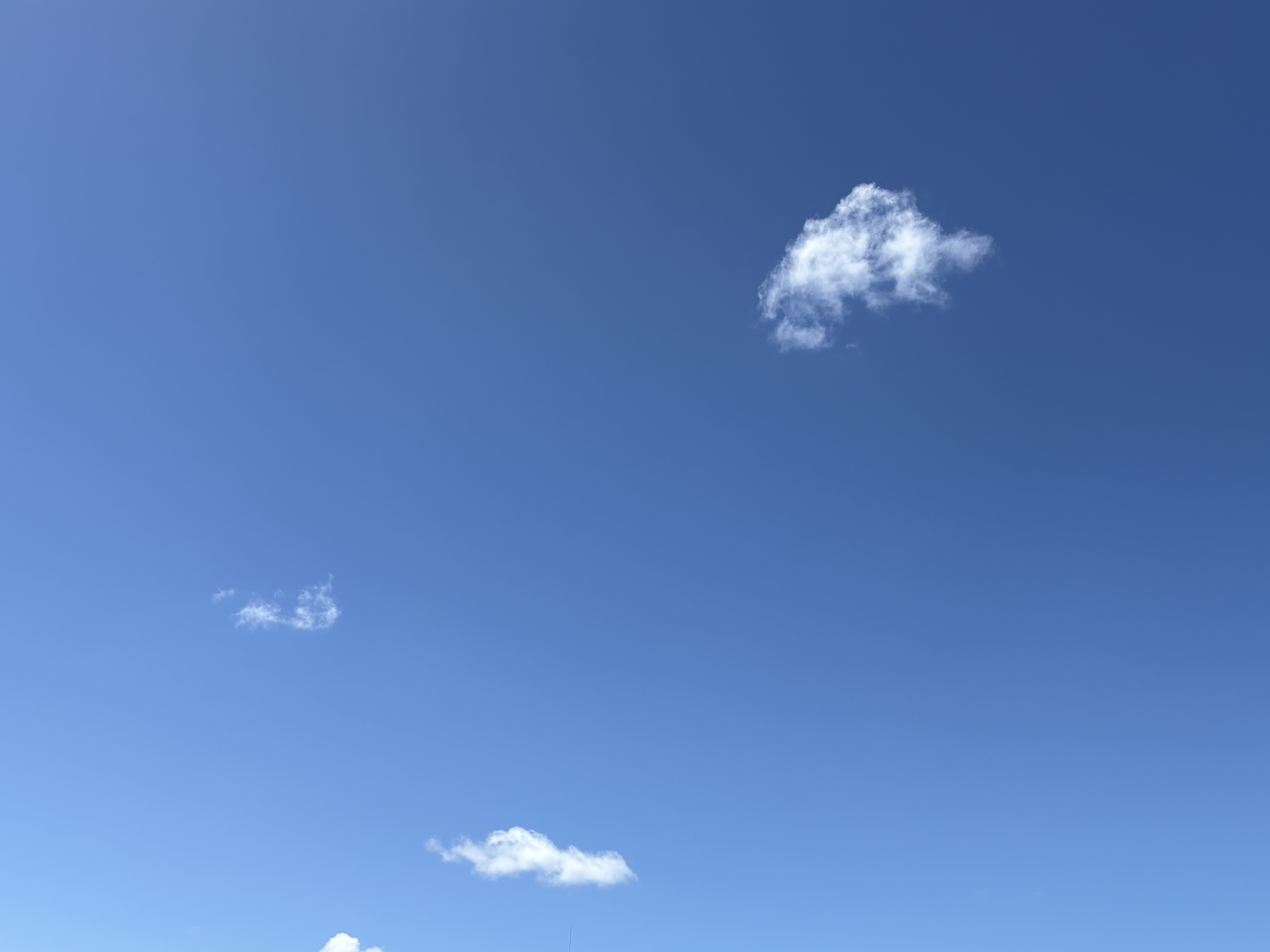 保健室の夏休み