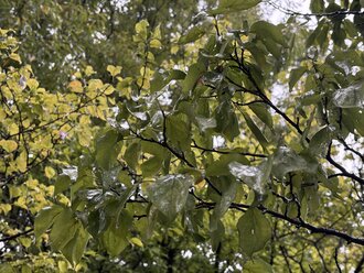 IMG_6883.jpeg