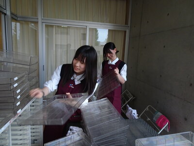DSC08678.JPG