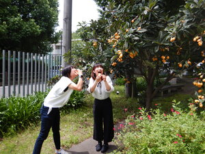 DSCN8282.JPG