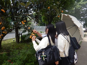 DSCN8275.JPG