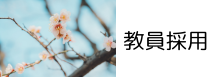 教員採用