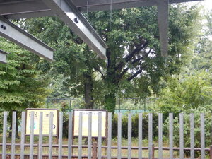 DSCN8578.JPG