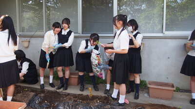 0601グリーンカーテン (43).JPG