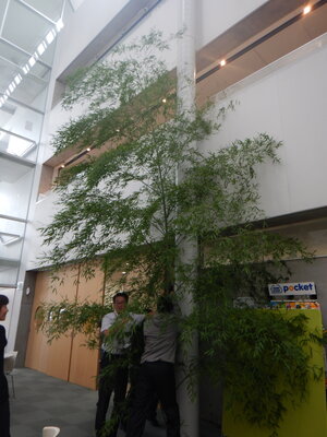 DSCN9892.JPG