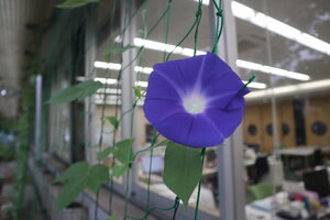 IMG_9134.JPG